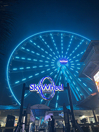 Skywheel